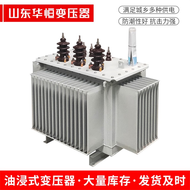 S13-10000/35东区东区东区油浸式变压器厂家