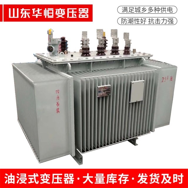 S13-10000/35东区东区东区电力变压器厂家