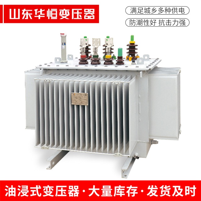 S13-10000/35东区东区东区电力变压器
